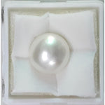 Load image into Gallery viewer, FRESH WATER PEARL
