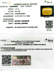 7.57/CT Natural Yellow Sapphire With Govt Lab Certificate (4551)
