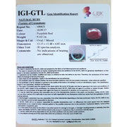 10.16 Ratti  Natural ruby with Govt. Lab Certificate-(1221)