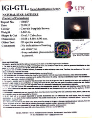 6.84/CT Star Sapphire with Govt. Lab Certificate-(5661)