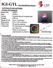 6.53 Ratti Star Sapphire with Govt. Lab Certificate-(5661)