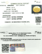 Load image into Gallery viewer, 6.47/CT Natural Yellow Sapphire With Govt Lab Certificate (4551)
