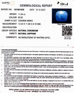 Load image into Gallery viewer, 11.84/CT Natural Ceylonese Neelam with Govt Lab Certified (4551)
