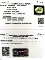 Load image into Gallery viewer, 5.50/CT Natural Yellow Sapphire With Govt Lab Certificate (23310)
