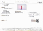Load image into Gallery viewer, 8.11/Carat Natural Cylindrical Red Coral (1800)
