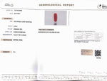 Load image into Gallery viewer, 8.24/Carat Natural Cylindrical Red Coral (1800)
