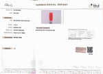 Load image into Gallery viewer, 11.22/Carat Natural Cylindrical Red Coral (1800)
