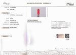 Load image into Gallery viewer, 8.15/Carat Natural Cylindrical Red Coral (1800)

