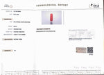 Load image into Gallery viewer, 8.02/Carat Natural Cylindrical Red Coral (1800)
