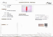 7.48/Carat Natural Cylindrical Red Coral (1800)