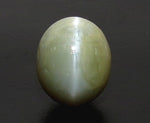 Load image into Gallery viewer, 8.26/CT Natural Chrysoberyl Cat&#39;s Eye With Govt. Lab Certificate-(6771)
