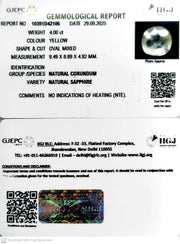 4.00/CT Natural Yellow Sapphire With Govt Lab Certificate (8991)