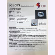 3.31/CT Natural Blue sapphire with Govt Lab Certificate-BLUSA9T