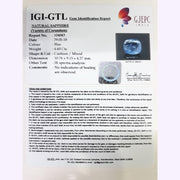 4.60/CT Natural Blue Sapphire with Govt Lab Certificate-BLUSA9V