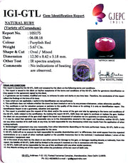 6.30 Ratti Natural Neo Burma Ruby with Govt. Lab Certificate-3441