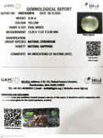 Load image into Gallery viewer, 9.44/CT Natural Yellow Sapphire With Govt Lab Certificate (16650)