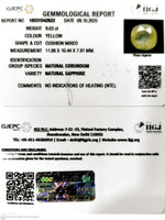 Load image into Gallery viewer, 9.03/CT Natural Yellow Sapphire With Govt Lab Certificate (12210)