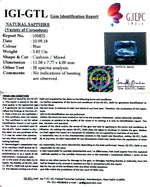 Load image into Gallery viewer, 3.82/CT Natural Neelam with Govt Lab Certificate-BLUSA9W
