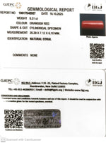 Load image into Gallery viewer, 9.31/CT Natural Red Coral With Govt. Lab Certificate (1800)