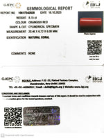 Load image into Gallery viewer, 8.15/CT Natural Red Coral With Govt. Lab Certificate (1800)