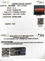 Load image into Gallery viewer, 8.21/CT Natural Red Coral With Govt. Lab Certificate (1800)