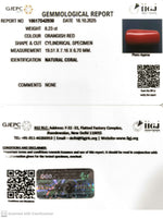 Load image into Gallery viewer, 8.23/CT Natural Red Coral With Govt. Lab Certificate (1800)