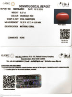 Load image into Gallery viewer, 6.57/CT Natural Red Coral With Govt. Lab Certificate (8200)