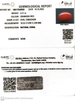 Load image into Gallery viewer, 5.51/CT Natural Japanees Coral With Govt. Lab Certificate (8200)