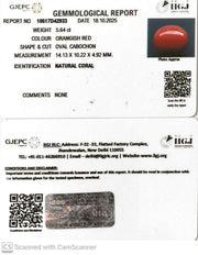 5.64/CT Natural Japanees Coral With Govt. Lab Certificate (8200)