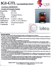 9.20 Ratti Natural Hessonite with Govt. Lab Certificate-(1221)