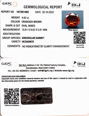 4.82/CT Natural Govt. Lab Certified Ceylonese Gomed-(1221)