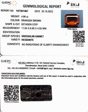 5.50/CT Natural Govt. Lab Certified Ceylonese Gomed-(1221)