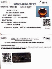 4.91/CT Natural Govt. Lab Certified Ceylonese Gomed-(1221)