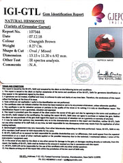 9.19 Ratti Natural Hessonite with Govt. Lab Certificate-(1221)