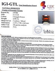 5.53 Ratti  Natural Hessonite with Govt. Lab Certificate-(1221)