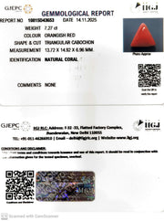 7.27/CT Natural Red Coral With Govt. Lab Certificate-10815D43653
