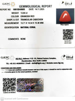 Load image into Gallery viewer, 13.84/CT Natural Red Coral With Govt. Lab Certificate-10815D43655