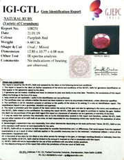 7.16 Ratti Natural New Burma Ruby with Govt Lab Certificate-(3441)