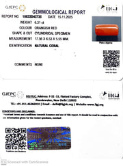 6.31/CT Natural Red Coral With Govt. Lab Certificate-10833D43735