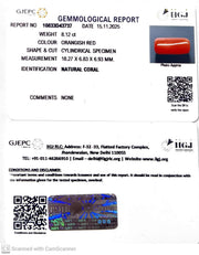 8.12/CT Natural Red Coral With Govt. Lab Certificate-10833D43737