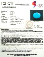 Load image into Gallery viewer, 12.34 Ratti  Turouoise With Govt. Lab Certificate-(610)
