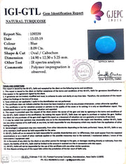 8.99 Ratti Turquoise With Govt. Lab Certificate-(610)