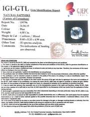 4.00/CT Natural Neelam with Govt Lab Certificate-BLUSA9V