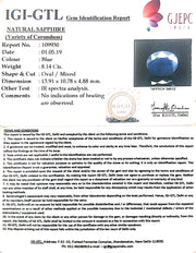 9.04 Ratti Natural Blue Sapphire with Govt Lab Certificate-(2331)