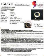 Load image into Gallery viewer, 4.94/CT Natural Yellow Sapphire With Govt Lab Certificate-45510
