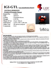 6.33 Ratti  Natural Hessonite with Govt. Lab Certificate-(1221)