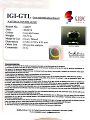 10.13 Ratti Natural Tourmaline With Govt. Lab Certificate-(1221)
