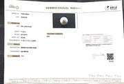 11.36/CT South Sea Pearl with Govt. Lab Certificate-1550