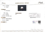 Load image into Gallery viewer, 11.13/CT South Sea Pearl with Govt. Lab Certificate-1550
