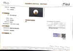 Load image into Gallery viewer, 12.07/CT South Sea Pearl with Govt. Lab Certificate-1550
